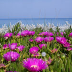 Ιράν: Επέτρεψε τη διέλευση πλοίων που μεταφέρουν αγαθά στα λιμάνια του