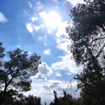 «Βουτιά» σχεδόν 18% στην τιμή του βαρελιου WTI λόγω της εκεχειρίας στη Μέση Ανατολή