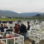 Πάπας Λέων: Δεν φοβάμαι την κυβέρνηση Τραμπ