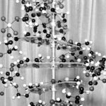 Ανακοίνωση του Λευκού Οίκου για την Ημέρα Μνήμης της Γενοκτονίας των Αρμενίων χωρίς τον όρο «γενοκτονία»