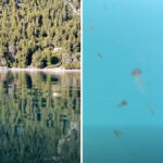 Όταν ο 89χρονος είχε πάει στην κηδεία του τέως βασιλιά Κωνσταντίνου και είχε μιλήσει στις κάμερες