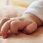 Έρευνα:  Ισχυρός συσχετισμός μεταξύ φυτοφαρμάκων και κινδύνου εμφάνισης καρκίνου Newsroom