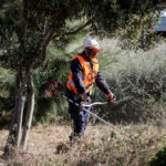 Βίντεο ντοκουμέντο από τη στιγμή που άνδρας εισβάλει με αεροβόλο στο Γενικό Κρατικό Νίκαιας – Επικράτησε αναστάτωση