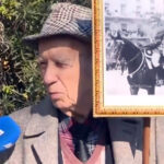 «Πλημμύρισε» από καφέ μέδουσες η Εύβοια – Η ανησυχητική εικόνα στις θάλασσες – Δείτε βίντεο