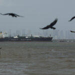 Πάπας Λέων για Τραμπ: Δεν με ενδιαφέρει να αντιπαρατεθώ μαζί του