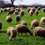 WSJ: Οι ΗΠΑ στέλνουν τρίτο αεροπλανοφόρο στην Μέση Ανατολή