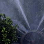 Και μετά τη νηστεία… πασχαλινή κραιπάλη; Κατερίνα Θεοδωροπούλου