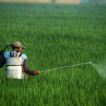 Το πλαστικό χημικό DEHP συνδέεται με σχεδόν 2 εκατ. πρόωρους τοκετούς και 74.000 νεογνικούς θανάτους το 2018 News Editor