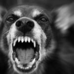 Τραγωδία στους Παξούς – 15χρονος οδηγός μηχανής «έσβησε» στην ασφαλτο