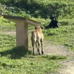 Τραμπ: «Σήμερα» η συμφωνία με το Ιράν στο Πακιστάν – Θρίλερ σε Ορμούζ, πετρέλαιο και συνομιλίες