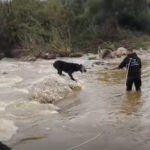 Πάρος: Εμπλοκή άγκυρας στο «Champion League Jet 1» – Ταλαιπωρία για 459 επιβάτες