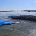 YouTube: Έκλεισε κανάλι που φέρεται να συνδεόταν με το Ιράν και δημοσίευε βίντεο AI με σατιρικό περιεχόμενο για τον Τραμπ