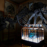 Νέες κυρώσεις στο Ιράν αν δεν ανοίξουν τα Στενά του Ορμούζ – Χρήση βίας ζητούν χώρες του Κόλπου