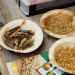 Στη σκιά της αβεβαιότητας οι συνομιλίες ΗΠΑ και Ιράν στο Πακιστάν – Νέα πλήγματα δοκιμάζουν την εκεχειρία στον Λίβανο