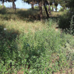 Φωτιά σε διαμέρισμα 4ου ορόφου στα Πατήσια – Μεγάλη κινητοποίηση της Πυροσβεστικής