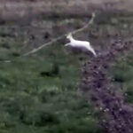 Κρίσιμη συνάντηση στο υπ. Αγροτικής Ανάπτυξης: «Η Λέσβος είναι με τη θηλιά στο λαιμό, αν καταστραφούμε αδειάζουν τα χωριά μας»