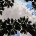 Άνοιξη με 27άρια και ηλιοφάνεια μέχρι την Πέμπτη – Αλλαγή του σκηνικού του καιρού από την Πρωτομαγιά