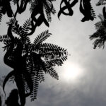 Κίνηση τώρα: «Κόκκινος» ο Κηφισός, μποτιλιάρισμα σε πολλούς δρόμους της Αττικής και καθυστερήσεις στην Αττική Οδό