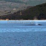 Μαγική πανσέληνος στο Σούνιο με το σπάνιο «Μπλε Φεγγάρι» [Βίντεο]