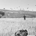 Κοινό φάρμακο για το άσθμα πολλά υποσχόμενο κατά των επιθετικών καρκίνων Newsroom