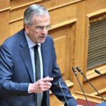 Πόθεν Έσχες: Τα εισοδήματα της Αφροδίτης Λατινοπούλου