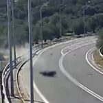 Τρίκαλα: Νέο «έξυπνο» σύστημα ποτίσματος για αγρότες με περιβαλλοντικό όφελος