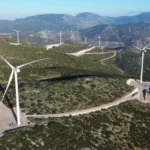 Ηράκλειο: Έφτιαξαν τη μεγαλύτερη κρητική λύρα στον κόσμο μέσα σε 6 μήνες [Εικόνες, βίντεο]