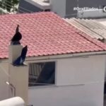 Σύμβουλος σταδιοδρομίας ενόψει πανελλαδικών: Είναι ένα σύστημα αδιάβλητο, όχι όμως και δίκαιο – Είναι εντάξει να μη σπουδάσεις