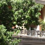 Ελλάδα – Ολλανδία 8-12: Πρώτη ήττα στα προκριματικά του World Cup