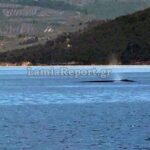 Πανελλήνιες 2026: Το πρόγραμμα των εξετάσεων για ΓΕΛ και ΕΠΑΛ – Όσα πρέπει να γνωρίζουν οι υποψήφιοι