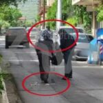 Κίνηση τώρα: Στο «κόκκινο» ο Κηφισός – Μεγάλες καθυστερήσεις σε Κηφισίας, Μεσογείων και Αττική Οδό