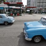Χιλιάδες μέδουσες γέμισαν τον Παγασητικό – Δείτε βίντεο