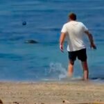 Πολιτική θύελλα για «μυστικές εκτελέσεις» καρτέλ στο Μεξικό: CIA και κυβέρνηση απορρίπτουν κατηγορίες για θανατηφόρες επιχειρήσεις των ΗΠΑ