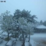 Επτά στις δέκα περιοχές Natura προστατεύονται από Ειδική Περιβαλλοντική Μελέτη – Τι σηματοδοτεί η απόφαση για τα Ιωάννινα