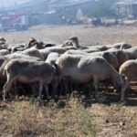 Ξαφνική βροχή στην Αθήνα – Πότε θα εκδηλωθούν τα έντονα φαινόμενα
