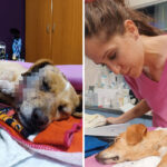 Συγγρού: Συνελήφθη οδηγός ηλεκτρικού πατινιού που κινούνταν με 72 χλμ/ώρα