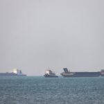 Μια νεκρή φάλαινα στη Δανία ίσως είναι ο διάσημος Τίμι που είχε εξοκείλει στη Γερμανία