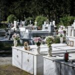 Λευκάδα: Μοναδικό θέαμα – Πέντε φάλαινες κολυμπούν στα καταγάλανα νερά του Ιονίου [Βίντεο]