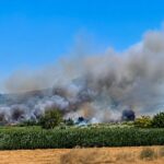 Χωρίς ενεργό μέτωπο η φωτιά στον Άγιο Βασίλειο Βοιωτίας