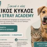 Οικογενειακή τραγωδία στα Τρίκαλα: Τα αδέλφια είχαν παλιά διαμάχη – Συγκλονίζουν οι μαρτυρίες για την αδελφοκτονία