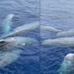 ΕΛΣΤΑΤ: Μειώθηκαν οι θάνατοι στην Ελλάδα – Οι ηλικίες και οι περιοχές που ξεχωρίζουν