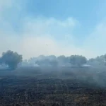 Τροχαίο στη Ρόδο: Αυτοκίνητο κατέληξε στα κιγκλιδώματα γέφυρας