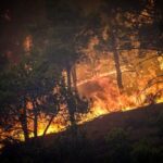 ΕΚΤΑΚΤΟ-Φωτιά στην Περαχώρα: Συνελήφθη 70χρονος Γάλλος που εκτελούσε αγροτικές εργασίες