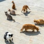 Σχεδόν τα μισά παιδιά στον κόσμο εκτεθειμένα σε τουλάχιστον τρεις τύπους κλιματικών κινδύνων σύμφωνα με την UNICEF