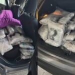 Κλοπές οχημάτων: Αστυνομική επιχείρηση στην Αττική με 13 συλλήψεις για εγκληματική οργάνωση
