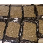Λαμία: Τραυματίστηκε ντελιβεράς όταν αυτοκίνητο του έκλεισε τον δρόμο [Δείτε βίντεο]