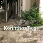 ΣΕΒ: Επανεκλογή του Σπύρου Θεοδωρόπουλου στη θέση του Προέδρου για την επόμενη διετία