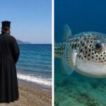 Σε λιμάνι της Τουρκίας ρυμουλκείται το ακυβέρνητο δεξαμενόπλοιο που έπλεε κοντά στην Αλόννησο