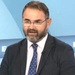 ΑΝΙΜΑ: Τι κάνουν τα δεκάδες μικρά γλαράκια στις γειτονιές της Αττικής