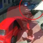 Καρχαρίες: Ποια είδη υπάρχουν στην Ελλάδα – Σε ποιες περιοχές εμφανίζονται – Δείτε τον χάρτη